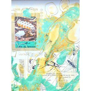 Original Art “Damsel” Insects Artwork Mixed Media Painting Wood Frame 8.5”x10.5”